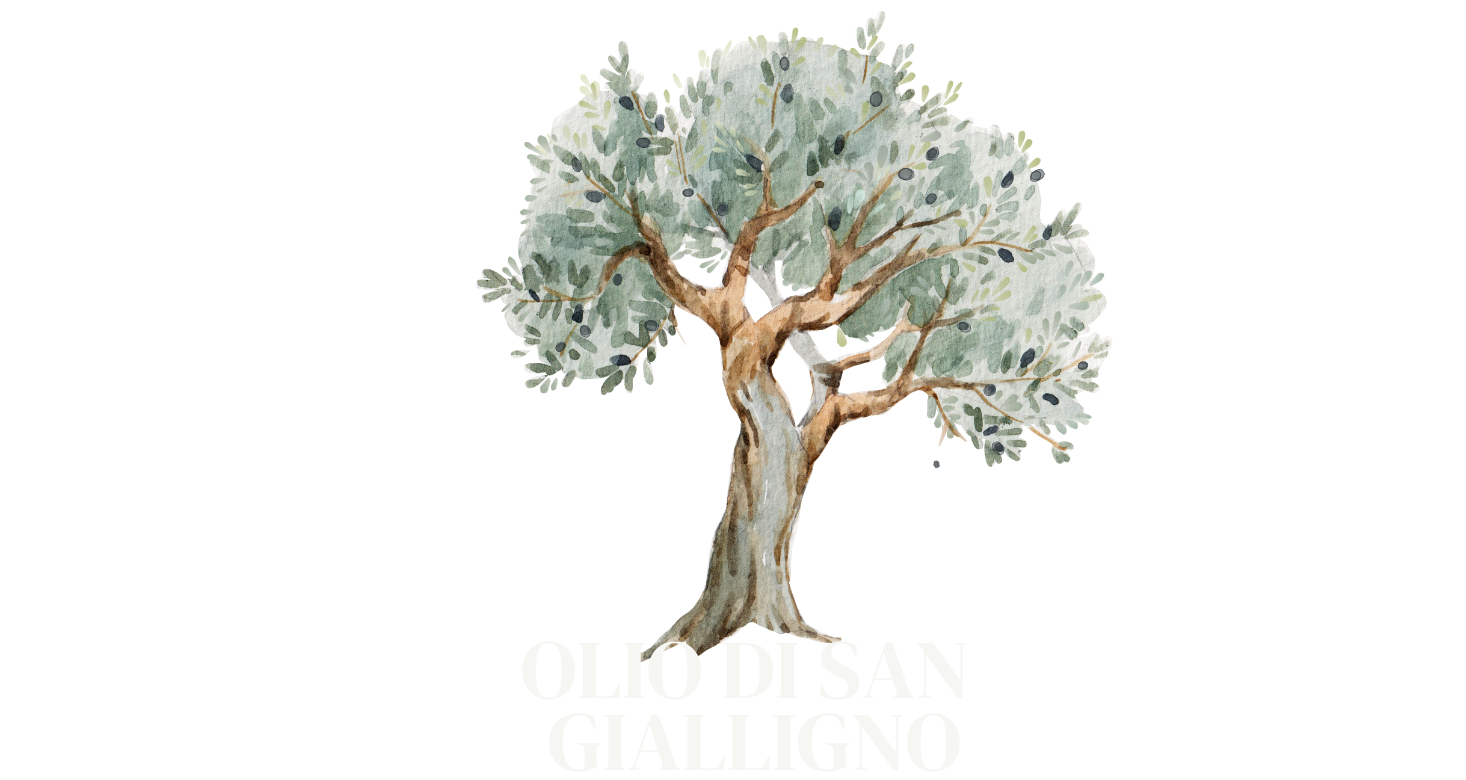 Olio Di San Gialligno